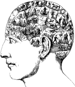 Nhận thức tâm lý